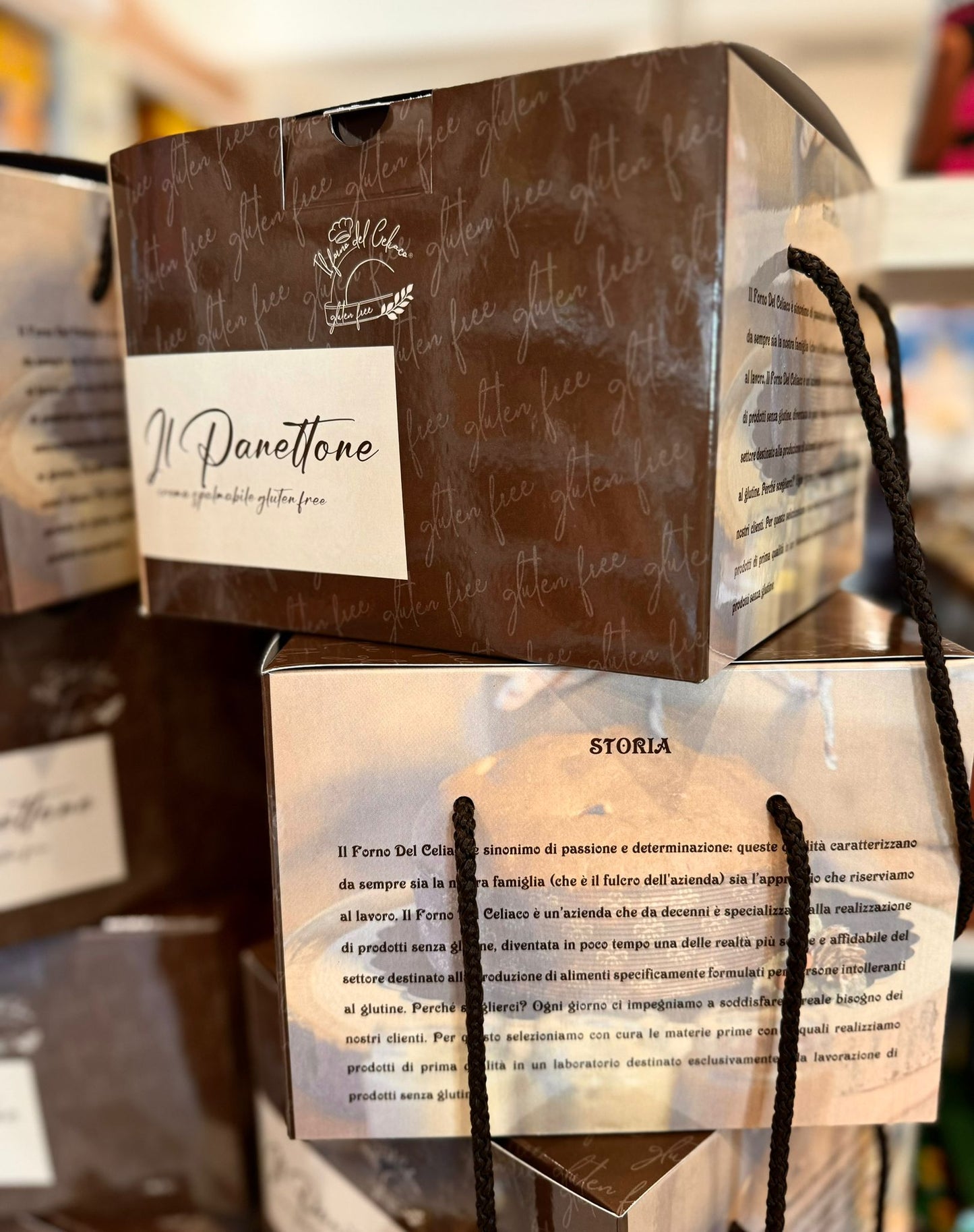 Panettone Semplice con Farcitura a scelta IL FORNO DEL CELIACO - gr 600