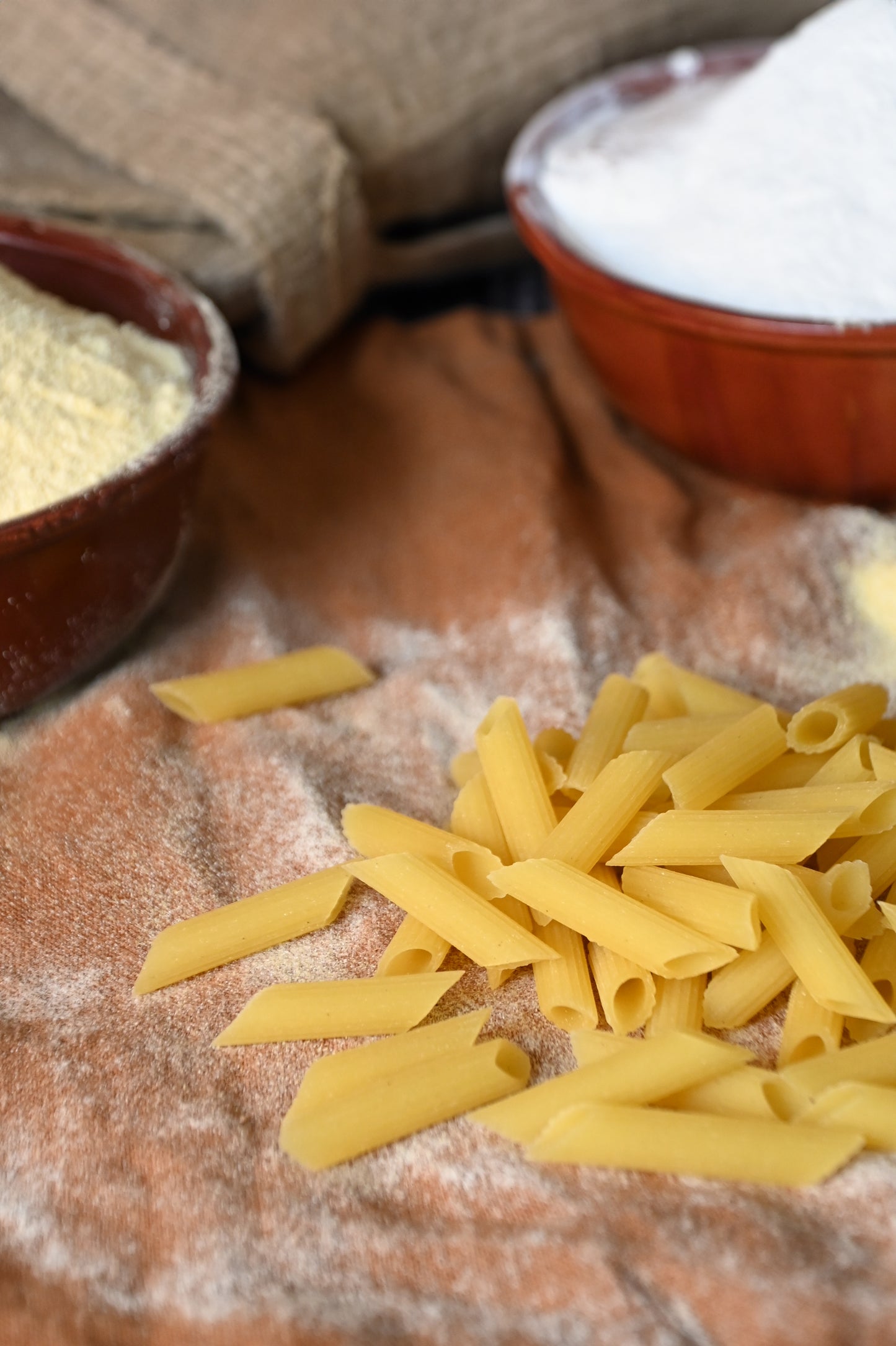 Pasta Penne Rigate IL FORNO DEL CELIACO - gr 400