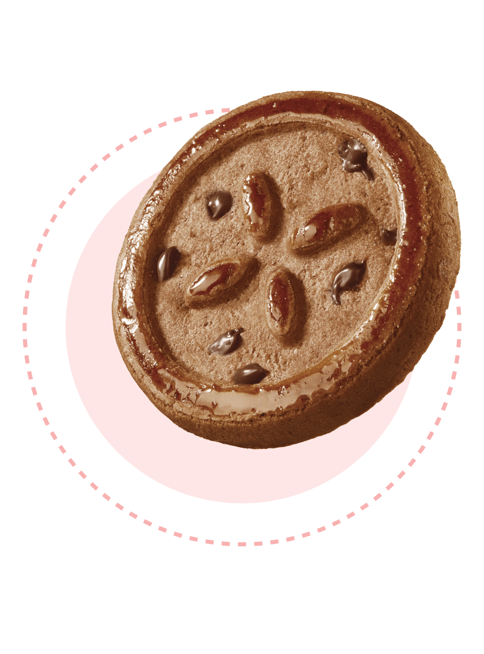 GALBUSERA - FROLLINO CON CACAO E GOCCE CIOCCOLATO 220 gr