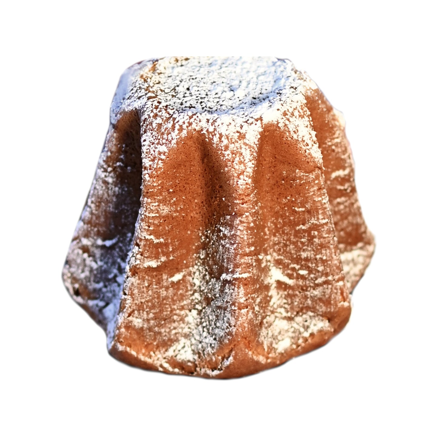 Pandoro IL FORNO DEL CELIACO - gr 480